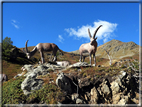foto Monte Vertosan